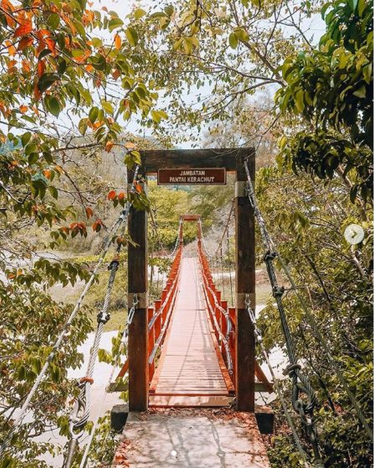 1-Visit-the-smallest-forest-reserve-Penang-National-Park - News 