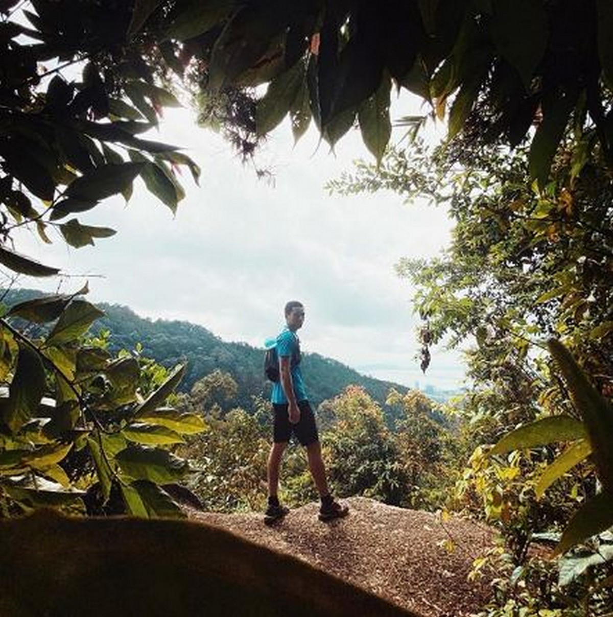 2-Hiking-up-Penang-Hill-a.k.a-Bukit-Bendera-2 - News