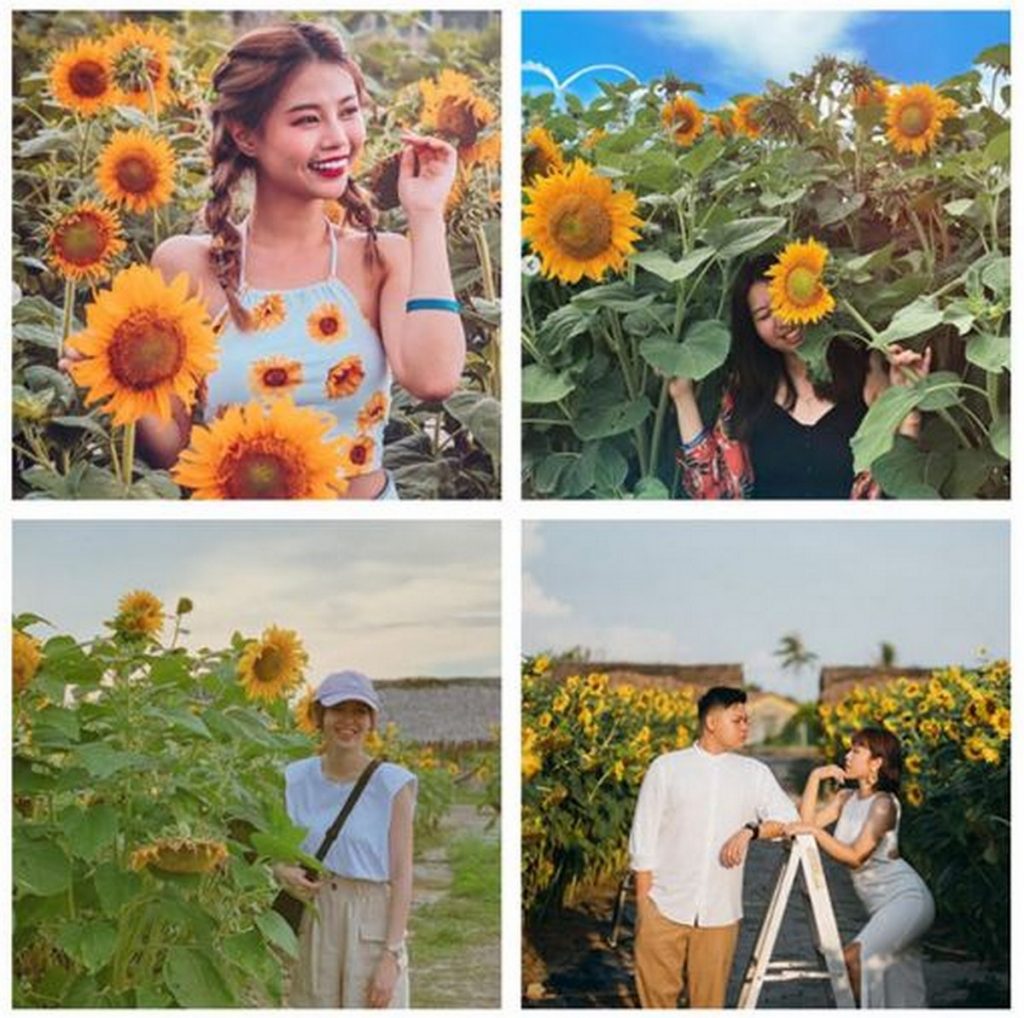 Malaysia Very Own Sunflower Magical Gardens With Tickets From RM3