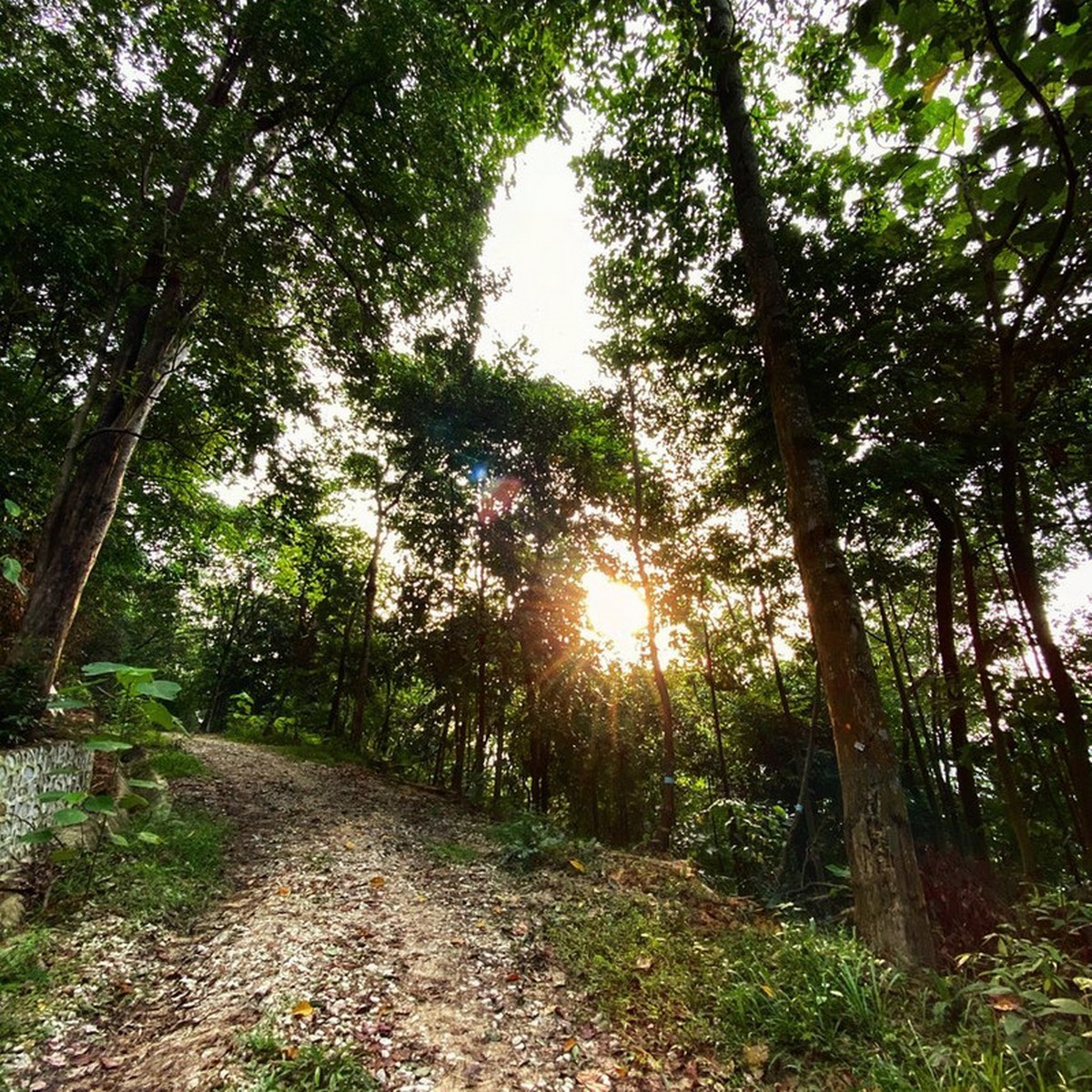 Bukit-Kiara-Park - LifeStyle