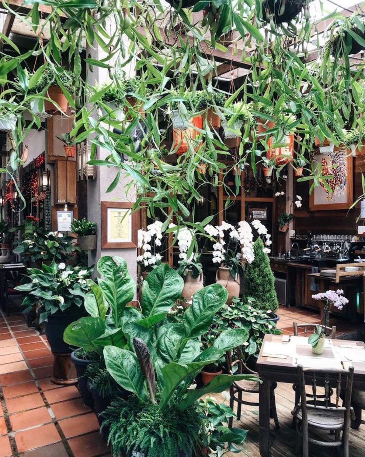 Ferringhi-Coffee-Garden - News 