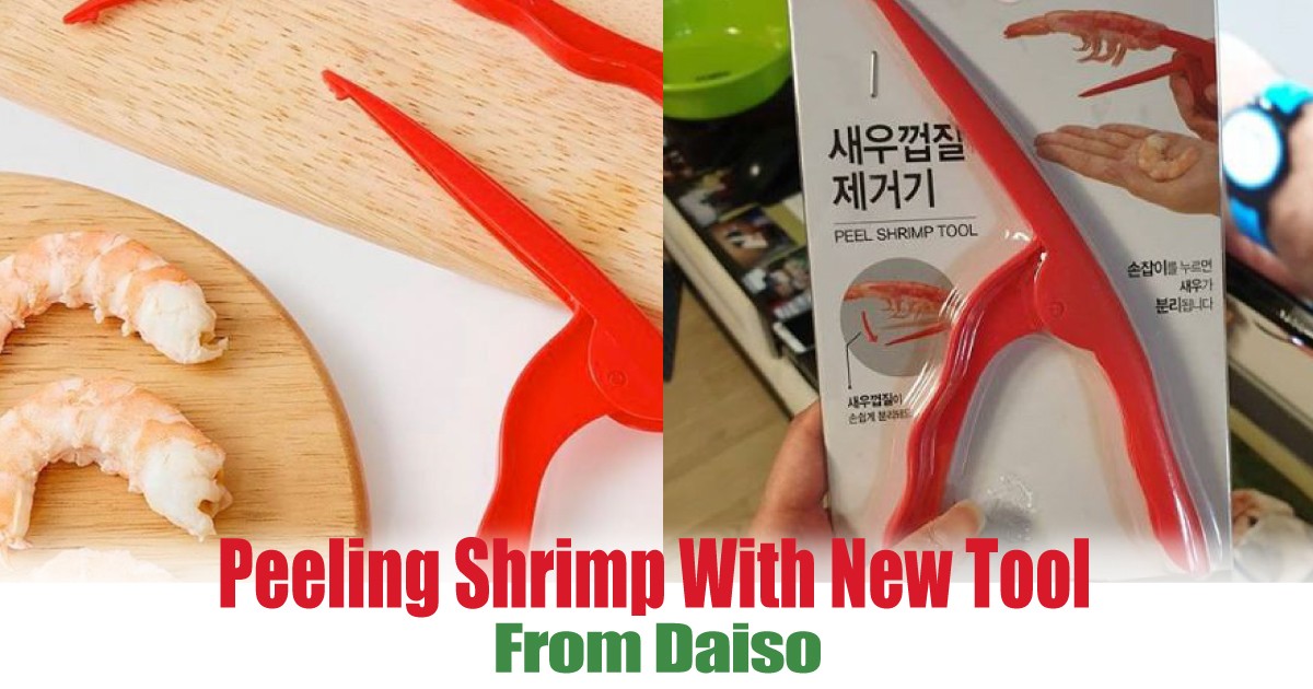 From-Daiso - News 