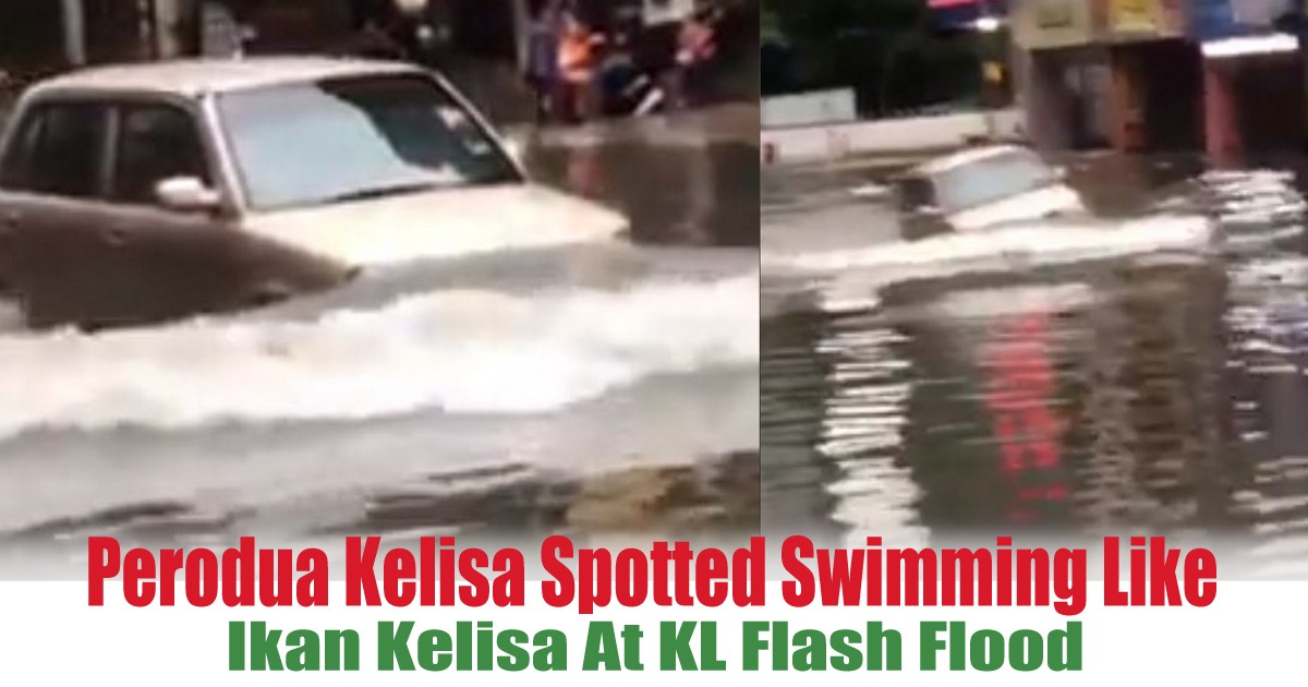 Ikan-Kelisa-At-KL-Flash-Flood - LifeStyle 