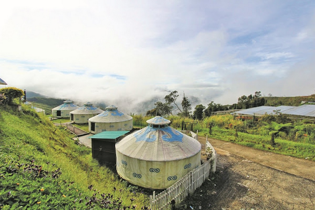 Mongolian-Yurt-Wind-Paradise-Lodge - News
