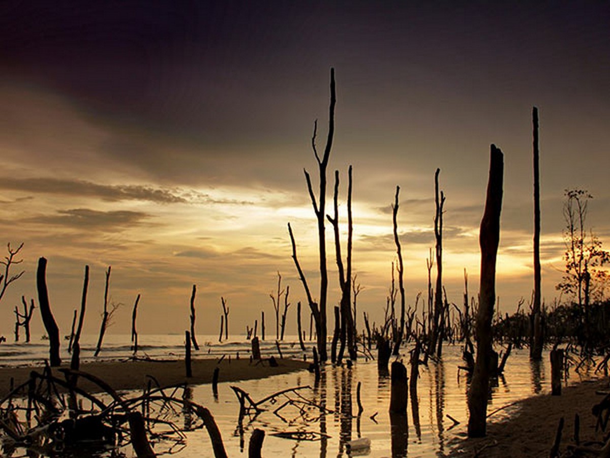 Pantai-Batu-Laut - News