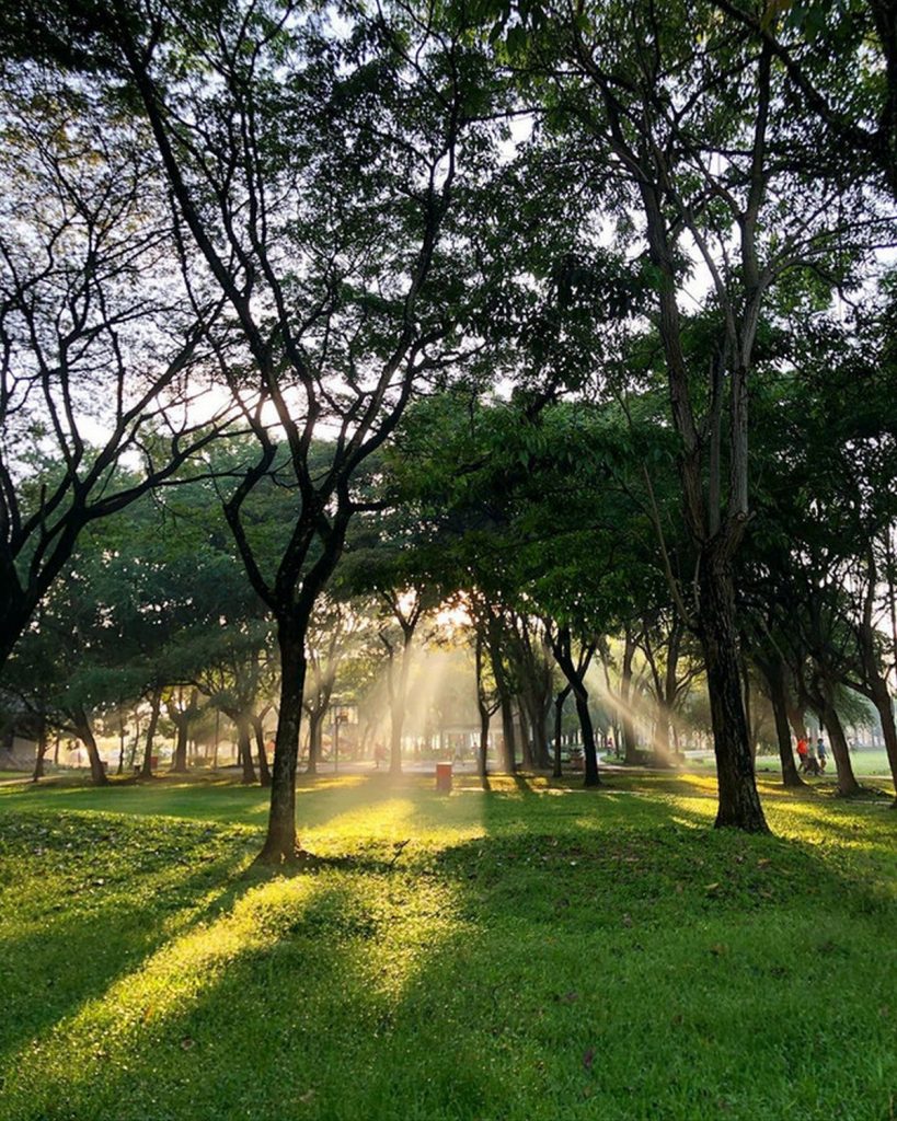 Nature Park At Klang Valley Which You Can Enjoy Fresh Air Walk With