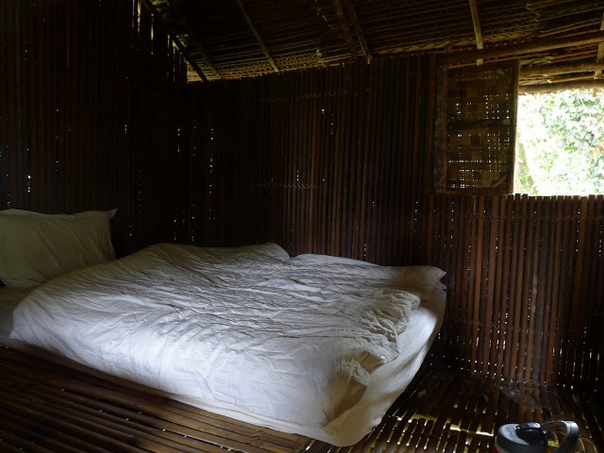 Terras-Tree-House - News