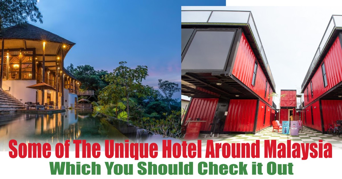 Which-You-Should-Check-it-Out - News 