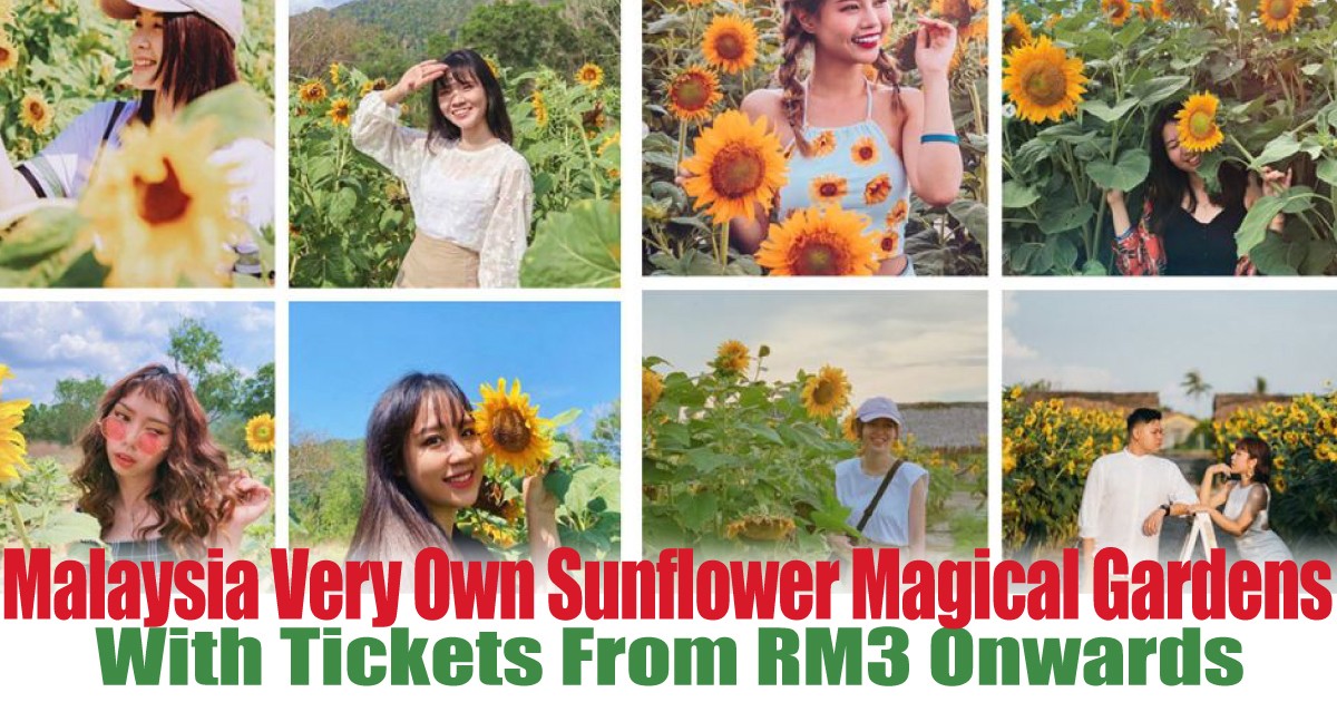 With-Tickets-From-RM3-Onwards - LifeStyle 