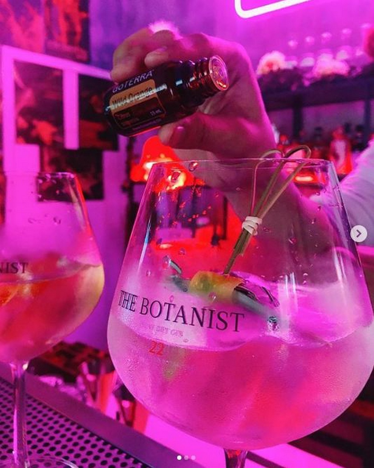 gin-by-bar2 - News 