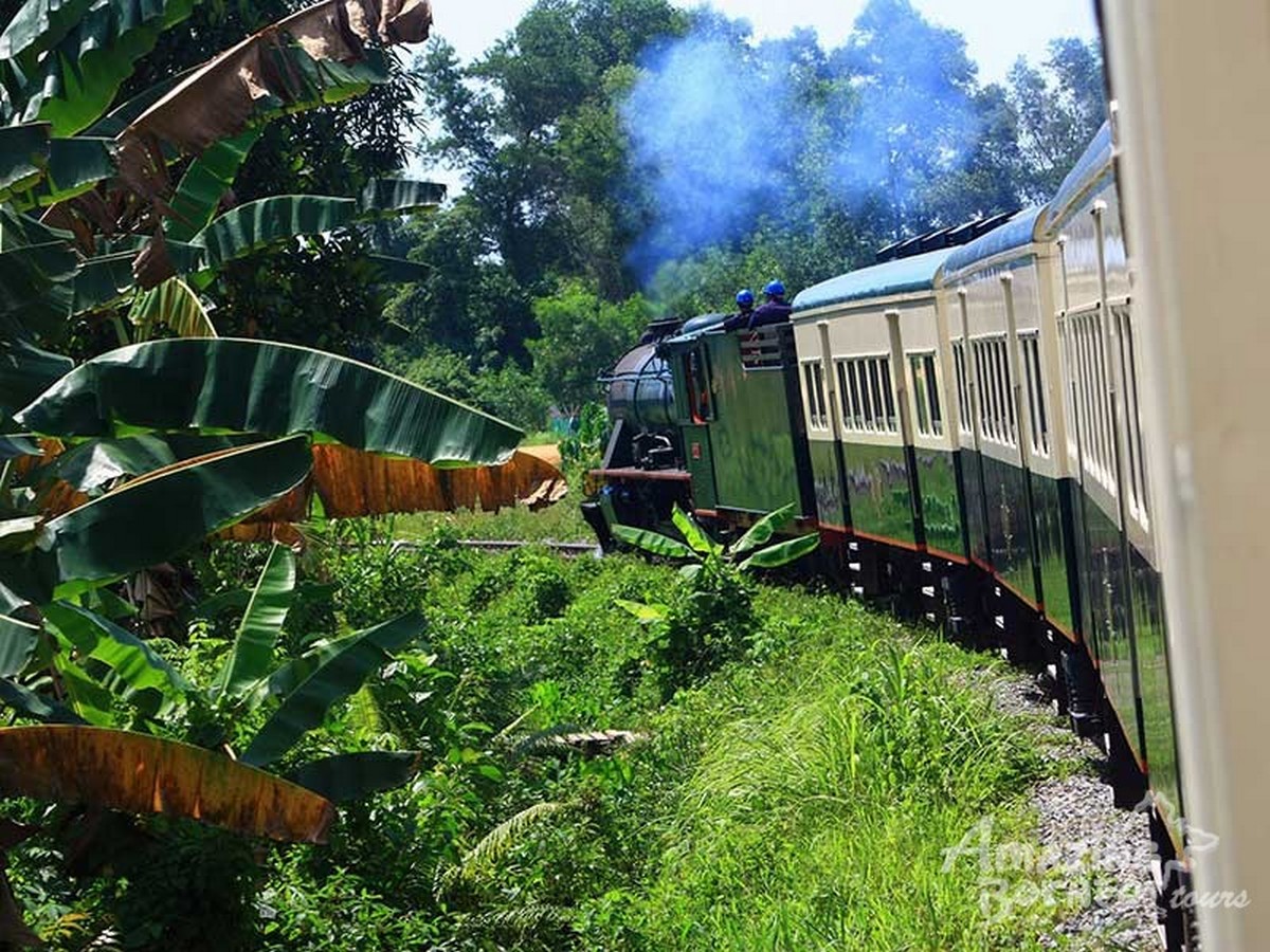 north-borneo-railway-tour-sabah - LifeStyle 