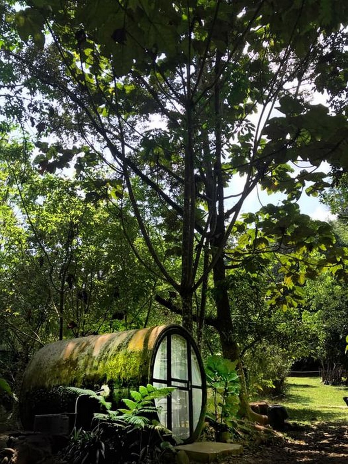 timecapsule-retreat - News 