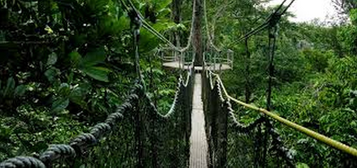 1.-Taman-Negara-Pahang-2 - LifeStyle 