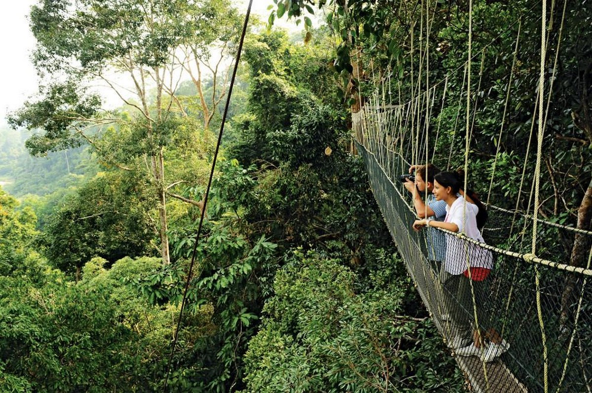 1.-Taman-Negara-Pahang - LifeStyle