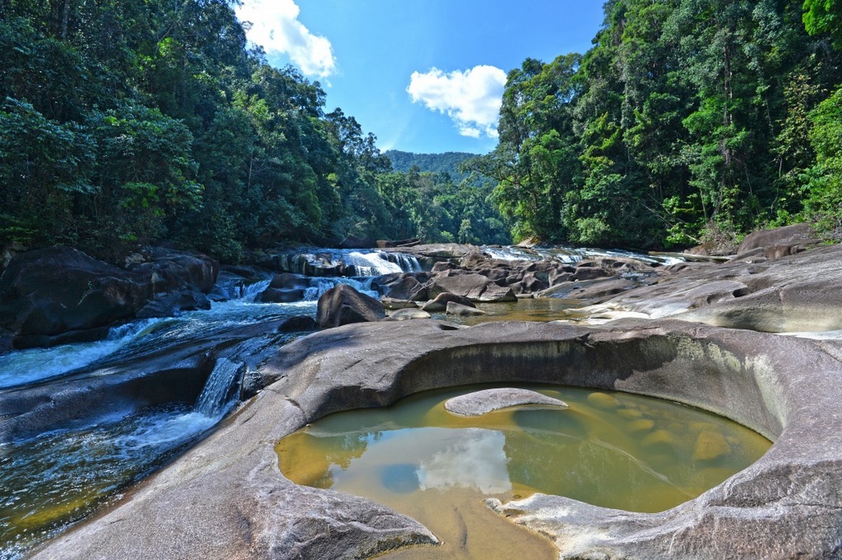 2.-Endau-Rompin-National-Park-Johor - LifeStyle
