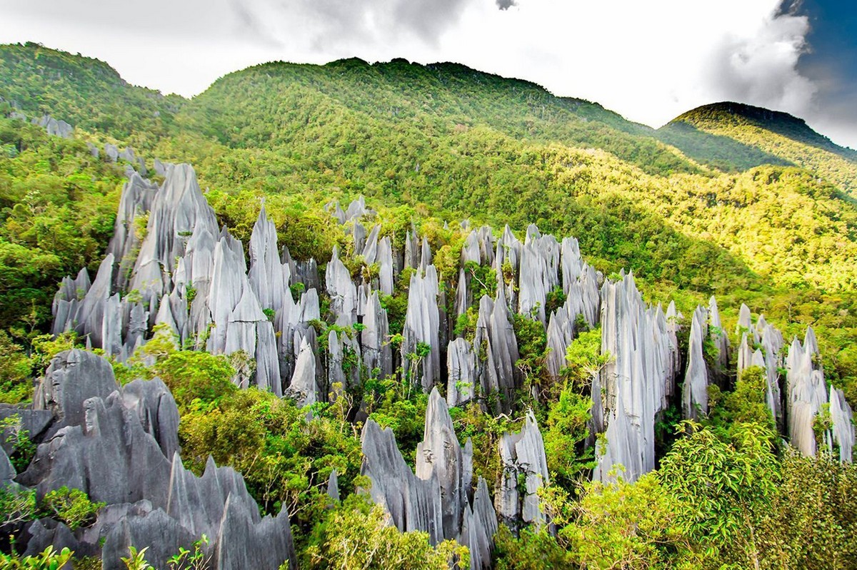 8.-Gunung-Mulu-National-Park-Sarawak - LifeStyle