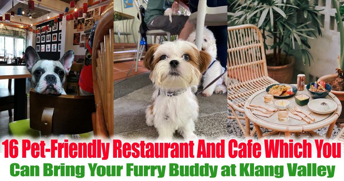 Can-Bring-Along-Your-Furry-Buddy-Along-at-Klang-Valley - LifeStyle 