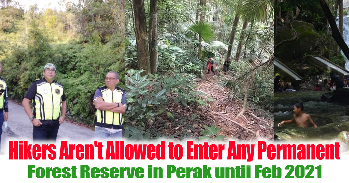 Forest-Reserve-in-Perak-until-Feb-2021 - LifeStyle 