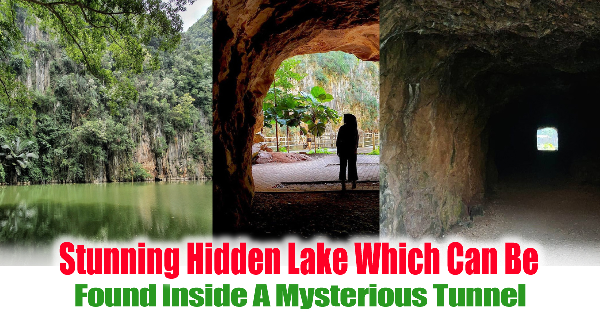 Found-Inside-A-Mysterious-Tunnel - News 