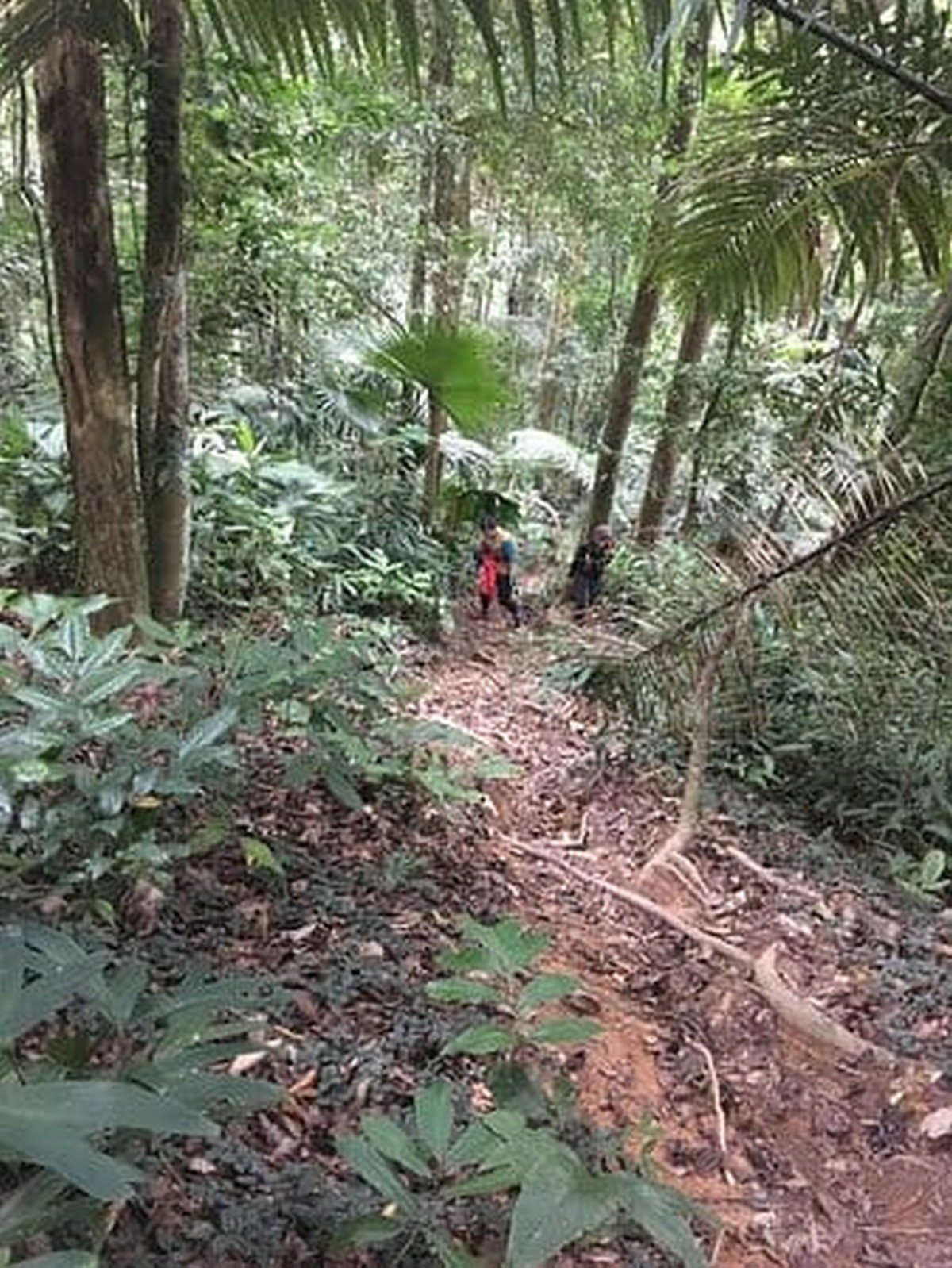 hiking-trail - LifeStyle 