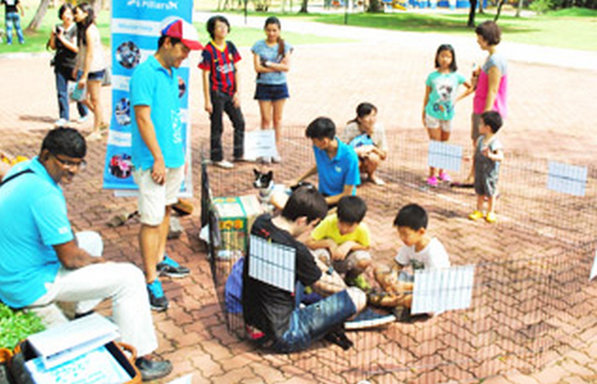 spaca - News 
