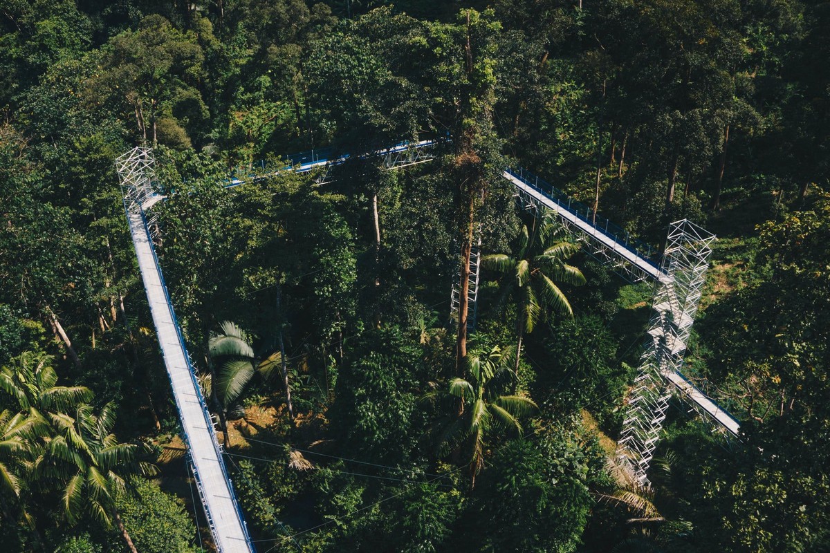 1-Forest-Research-Institue-Malaysia-FRIM-Kepong - LifeStyle