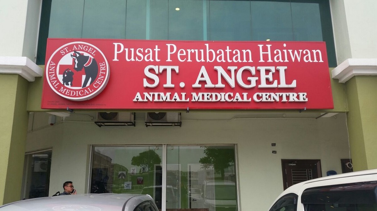 Vets Which Opens 24 Hour or Till Late For Your Furpets - News Vets Which Opens 24 Hour or Till Late For Your Furpets - News