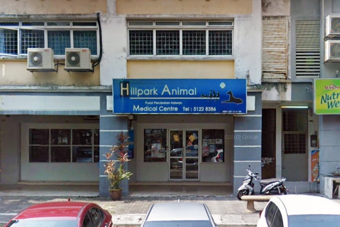 Vets Which Opens 24 Hour or Till Late For Your Furpets News