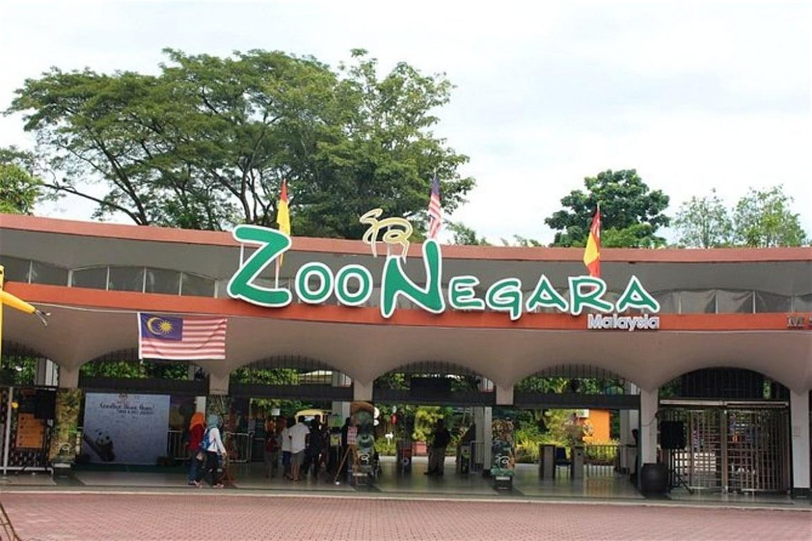 Zoo Negara is Having 40% Discount on Their Ticket! - EverydayOnSales