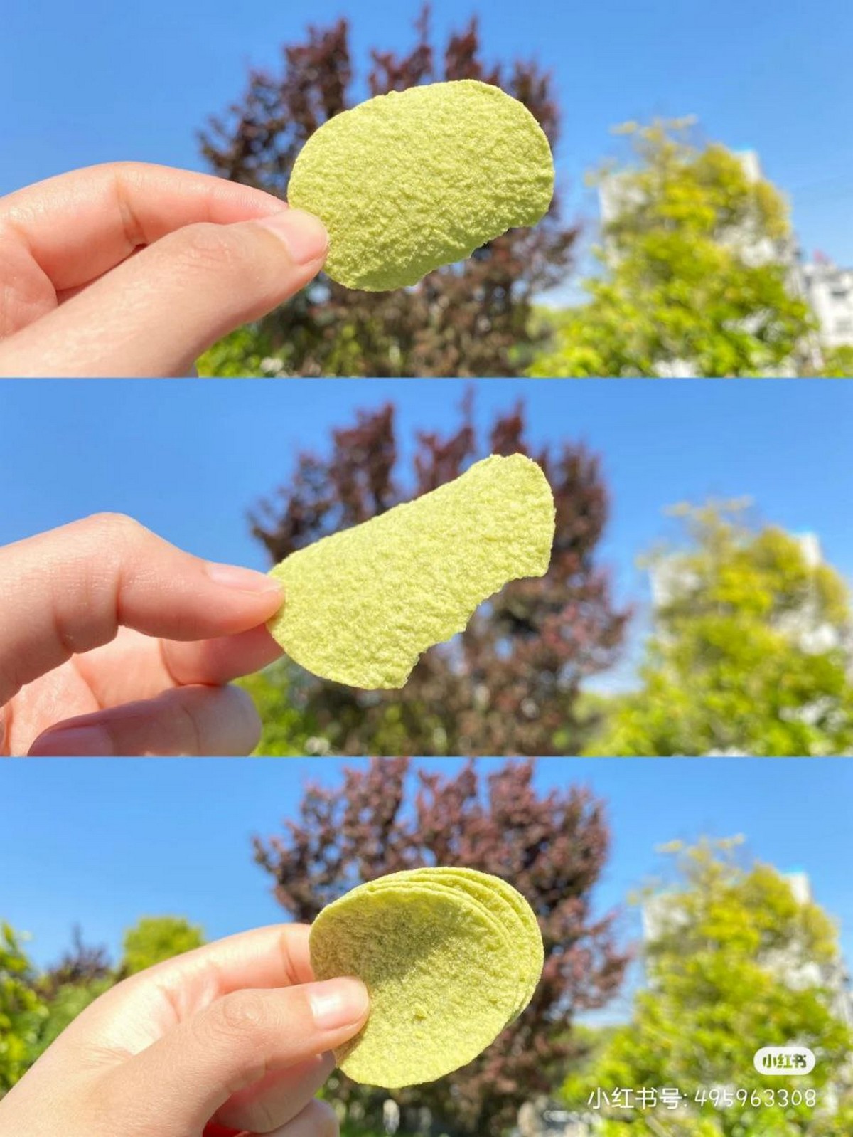 3-Avocado-flavor-sweet-mustard-flavor-2 - News