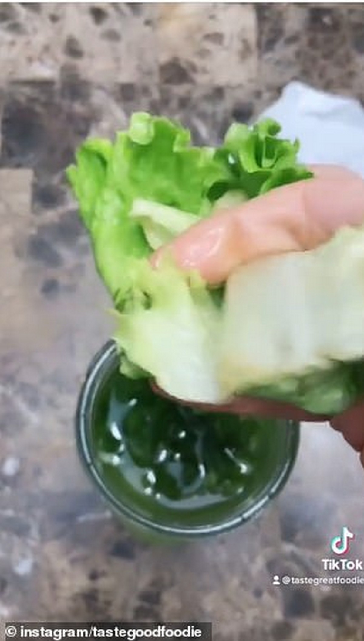 40675702-9380249-Over_a_month_later_Lama_removed_her_lettuce_from_the_water_revea-a-72_1616167906535 - News 